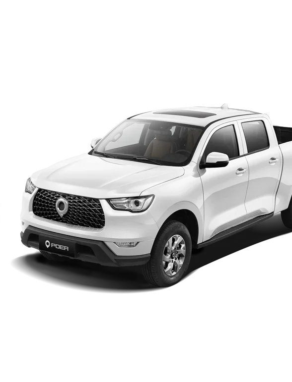 GWM Fleet
