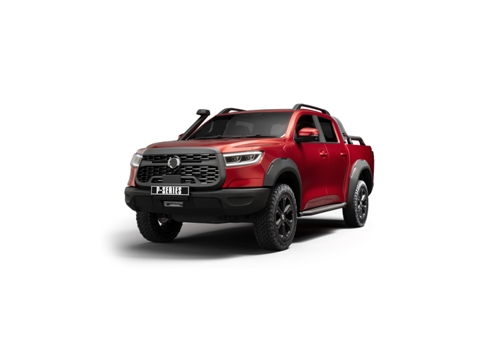 P300 LTD