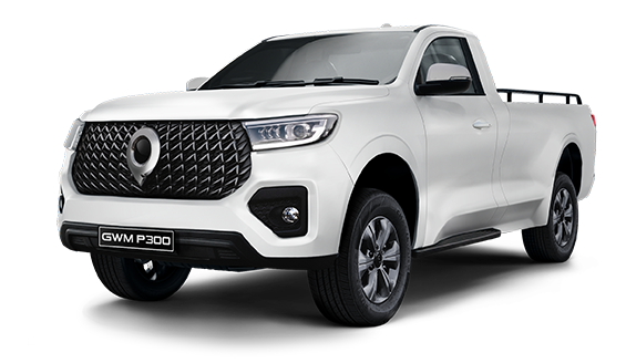 <span style="color: grey; font-size: 20px; font-weight: 700;">P300 SX</span>