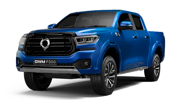 <span style="color: grey; font-size: 20px; font-weight: 700;">P300 LS</span>